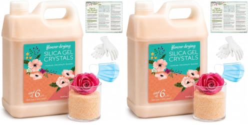 LotFancy Silica Gel Flower Drying, 6 LBS Color Indicating Silica Crystals for Wedding Bouquet Preservation DIY Crafts, Reusable (Pack of 2)