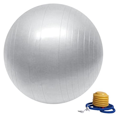Sun&Sia YB55-AR Fitnessbal, uniseks, voor volwassenen, zilver