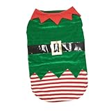 Manteau pour chien - un vêtement adorable, design et aux couleurs et agréables, caractéristiques et style unique