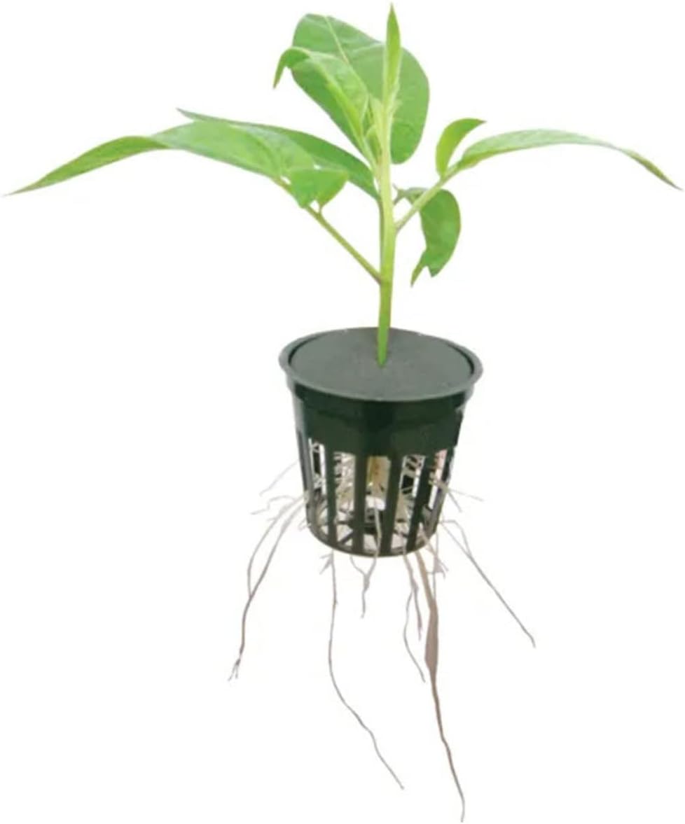 40pcs Eva Hydroponic Cloning Collars Inserts for Soilless Gardening Durable Planting Accessories for Vegetable Cultivation Convenient Hydroponic Planting Tool for Home Gardeners