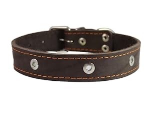 Genuine Leather Studded Dog Collar, Brown, 1.5