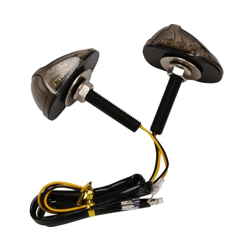 Clignotant LED moto 12V à forte luminosité MSX 125