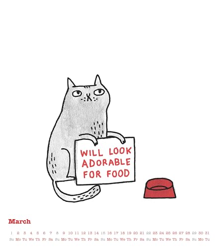 Alpha Edition - A Cat’s Life & A Dog’s Life 2026 – Wendekalender 30×30 cm (30×60 geöffnet) mit Katzen- & Hunde-Cartoons, humorvoller Wandkalender für Tierfreunde mit Illustrationen von Gemma Correll