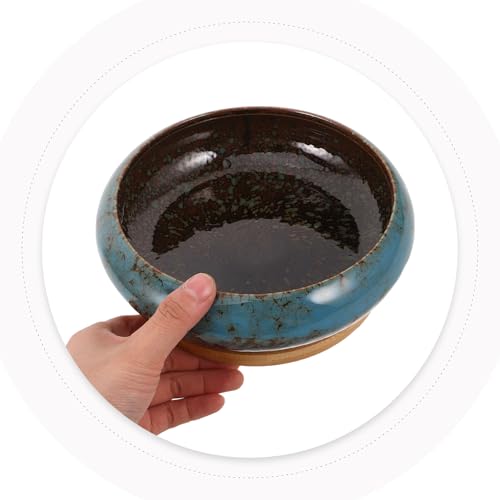 Bol hydroponique pot peu profond céramique bleu pour succulentes - 5