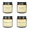 4 Count Winter Fall Candle Set Home Scented Candles Stress Reducing Candle Gift Set Holiday Celebration for Ladies Birthday Valentines Day Christmas 4 oz
