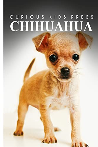 Chihuahua - Curious Kids Press: Kids book about animals and wildlife, Children's books 4-6