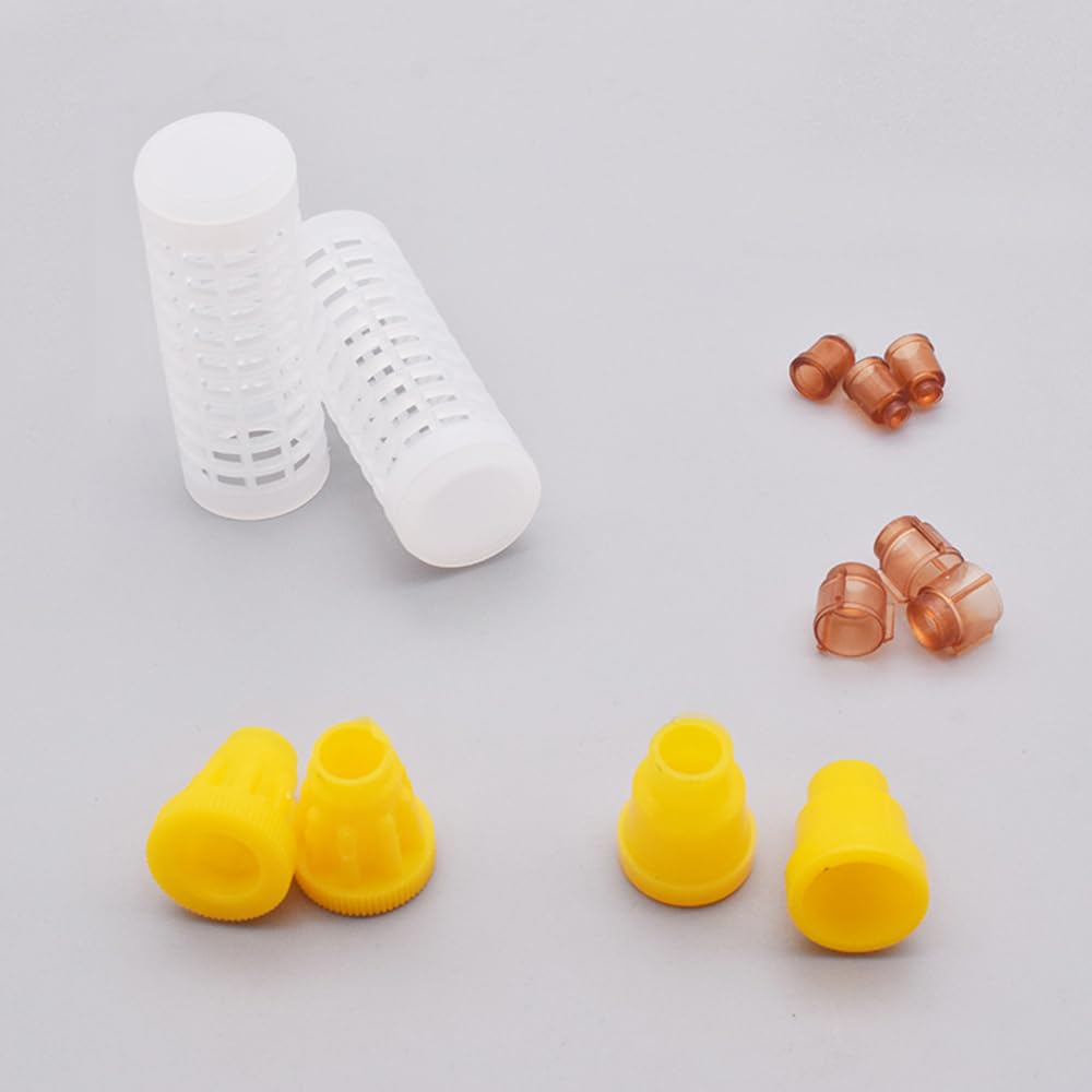 Kit complet d'élevage de reines - Incubateur d'abeille - Kit d'outils d'apiculture Queen Cell - Système d'élevage complet
