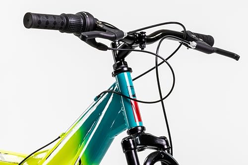 Recopilación de Bicicletas mercurio de esta semana. 3 Imagen adicional