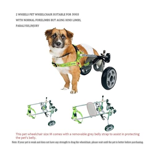 Silla de ruedas para perros con discapacidad, recupera la alegría de pasear 5