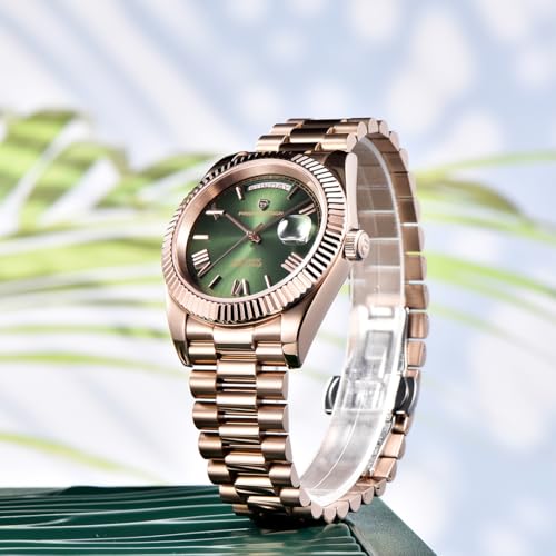 Image of Pagani Design DD40 PD1783 Men's Luxury Automatic AR Sapphire Glass Mechanical Watch Men 10 Bar NH36A Movement