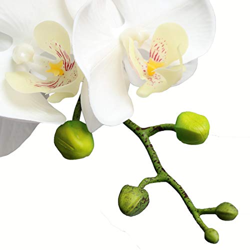 Htmeing 38 Inch Artificial Phalaenopsis Flowers Branches Real Touch (Not Silk) Orchids Flowers For Home Office Wedding Decoration,Pack Of 2 (White) #TOP2