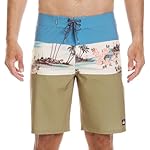 Quiksilver Mens Surfsilk Panel 20 Boardshorts