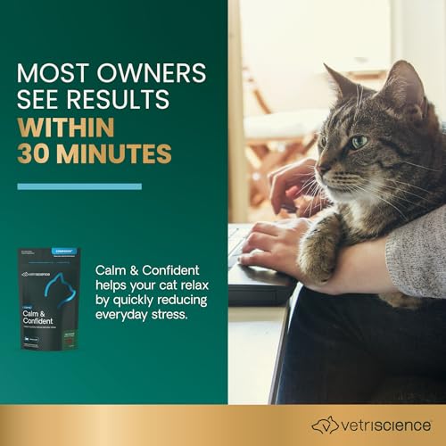 VetriScience Calm & Confident Chews, Composure Calming and Anxiety Supplement for Cats, Reduce Stress and Fear, Ideal for Travel, Vet, Grooming and Routine Changes, Trout, 30 Count