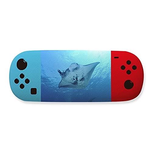 Étui de rangement pour lunettes Ocean Ray skate boîtier soleil