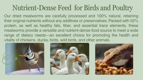 Image of kimoe Non-GMO Bulk Dried Mealworms 10LB Bag for Chickens, Ducks & Wild Birds - 100% Natural High-Protein Feed to Boost Egg Production, Feather Health & Immunity