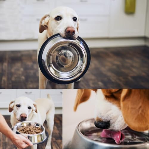 Image of Madhabi Stainless Steel Pet Bowl Set for Dogs and Cats, Size 5, Non-Slip Rubber Base, Rust-Free Food and Water Feeding Bowls, Chew-Proof No-Tip Design for Home and Outdoor Use - Pack of 2