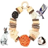 Abizoo Guinea Pig Chew Toys,Bunny Toys Hanging,Natural Wood for Rabbits Teeth Grinding Chinchilla,Bird,Dwarf Hamster,Rabbit Chew Toys Treats Small Animals Enrichment Boredom for Cage