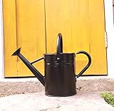 WEQUALITY Watering Can for Outdoor and Indoor Plants，1 Gallon Metal Plant Watering Can with Handles,Galvanized Steel Watering Pot Gardening Tools，Black Color