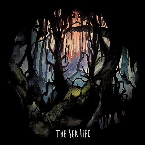 Sea Life