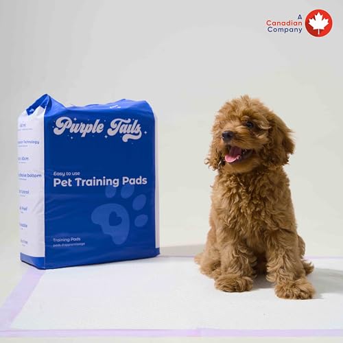 Image of Canada Pet Training Pads with Adhesive Tape - 8 Layers Super-Absorbent Pee Pads with Built in Pet Attractant for Dogs - Leakproof Pee Pads - Small, Medium Dog Pee Pads (50, 45x60 cm)