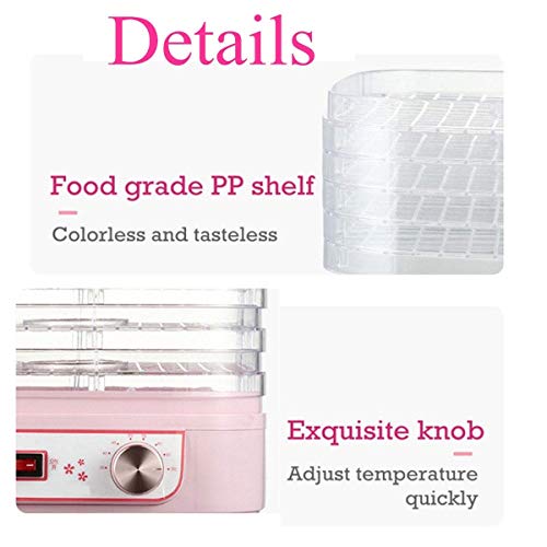 Lebensmittel Dehydrator Dörrautomat, High-Heat Circulation, Temperaturregelung, 5 Tabletts - Frucht-Gemüse-Trockner… – Bild 3