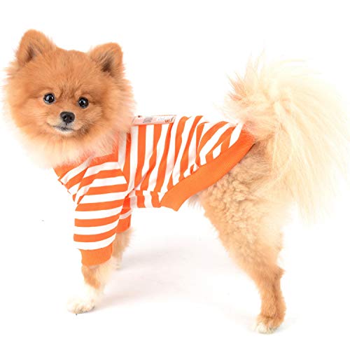 Zunea Camicia Abbigliamento per Cani Piccola