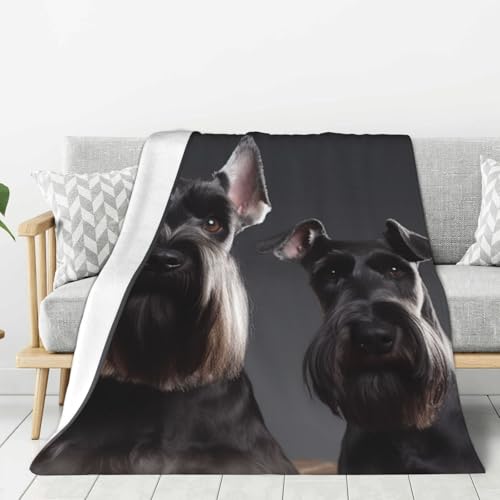 Couverture flanelle lavable plaid schnauzer anti-frissons doux - 2