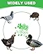TPZORJX 100 Stück Hähnchen Beinringe Mehrfarbige kükenringe,taubenringe,Hähnchen Identifikation Beinbänder Nummerierter Clip an Geflügel Beinringen für Gamefowl Truthahn Ente Gans Guinea