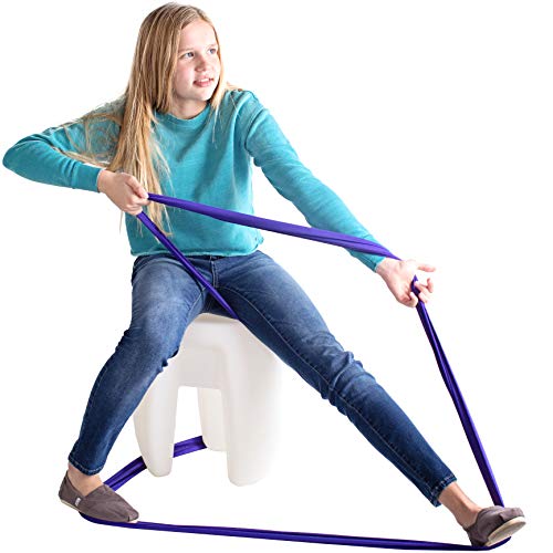 Fun And Function's Stretch Bands For Resistance Exercise And Sensory Stimulation, Encourages Active Movement And Heavy Work For Use At Home, School, Or In The Clinic - Purple Size Large 53" X 6" #TOP4
