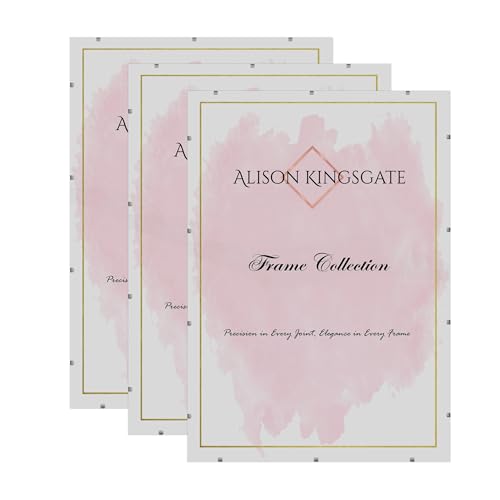 Image of Alison Kingsgate A2 Clips, Frameless Picture Frame for Photos - Pack of 3