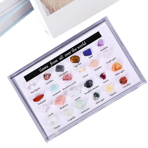 kivrimlarv Vitrina de roca | Soporte dividido con 24 piedras de cristal, vitrina de gemas | para coleccionistas coleccionables, piedras preciosas minerales, meditación, decoración del hogar