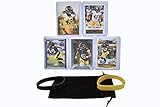 Troy Polamalu Football Cards (5) Assorted Bundle - Pittsburgh Steelers Trading Card Gift Set