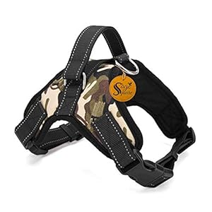Sage Square Adjustable Cusion Padded Dog Sport Harness with Lifting Handle Extra Confortable (Medium Dogs)