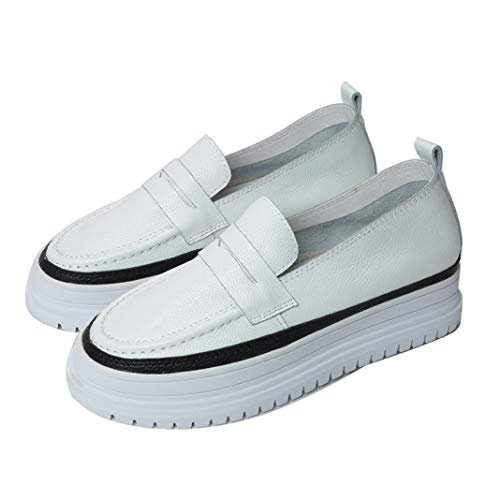 [VEJ] Xb| fB[X vbgtH[V[Y  ubN [Jbg Xb| fB[X V[Y  Xb| 22.5cm x[W Xb| wL r Xj[J[ zCg Xb| V[Y