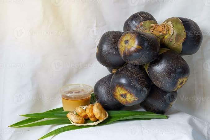 S. D ENTERPRISE Organic Fruit Toddy Plant