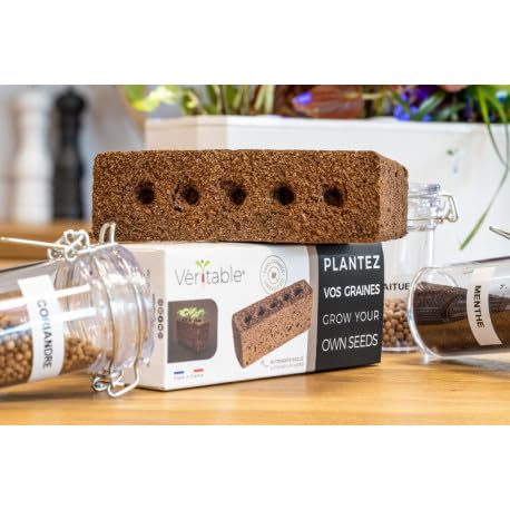 Lingot Véritable Coriandre - Recharge Prête à L'Emploi Pour Potager D'Intérieur - Substrat Et Graines Bio Intégrées