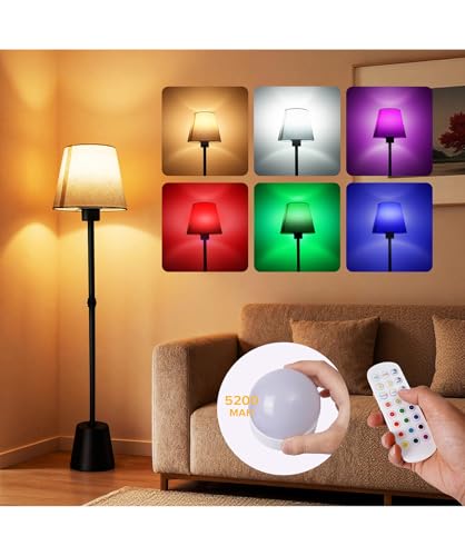 HWTDJJY Battery Operated Floor Lamp, Cordless Floor lamp with 5200mAh Battery,RGB Floor Lamps, Timer Function Suitable for Living Room Sofa Area Bedroom RV and Balcony