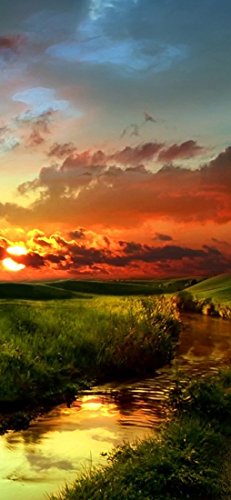 PeelitStickit, Beautiful Nature Wall Murals, ID-1760, vinyl, Multi-colour