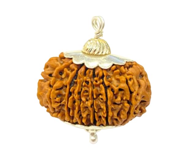 18 Mukhi Rudraksha Original Certified Nepali Pendant 18 मुखी रुद्राक्ष 18 Face Rudrakshaa Astrological Purpose Atharah Mukhii Rudraksha Eighteen Face Energized Nepali For Men & Women