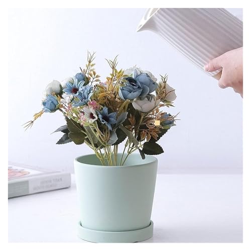 Pots de fleurs amusants en céramique avec plateau pour plantes de porche - 8
