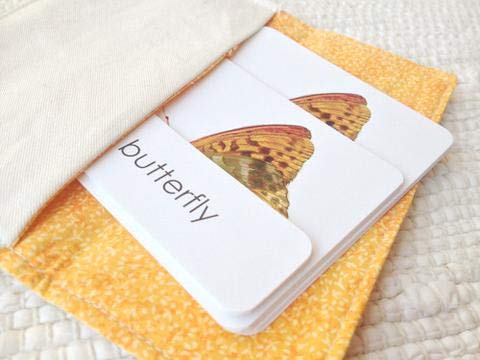 "Parts of" the Butterfly 3-Part Photo Cards - Image 3