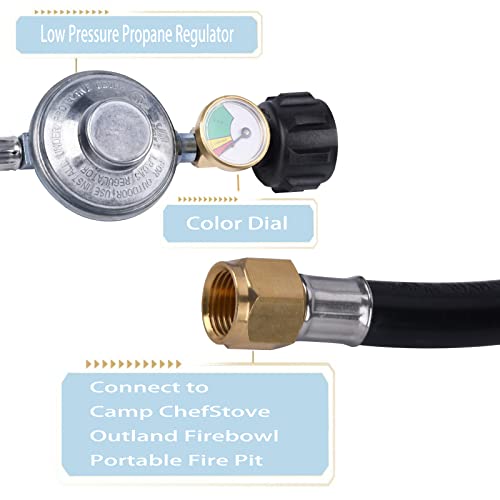 Propane regulator and hose