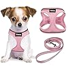 YIMEIS Dog Harness and Leash Set, No Pull Soft Mesh Pet Harness, Reflective Adjustable Puppy Vest for Small Medium Large Dogs, Cats (Pink, X-Small (Pack of 1)