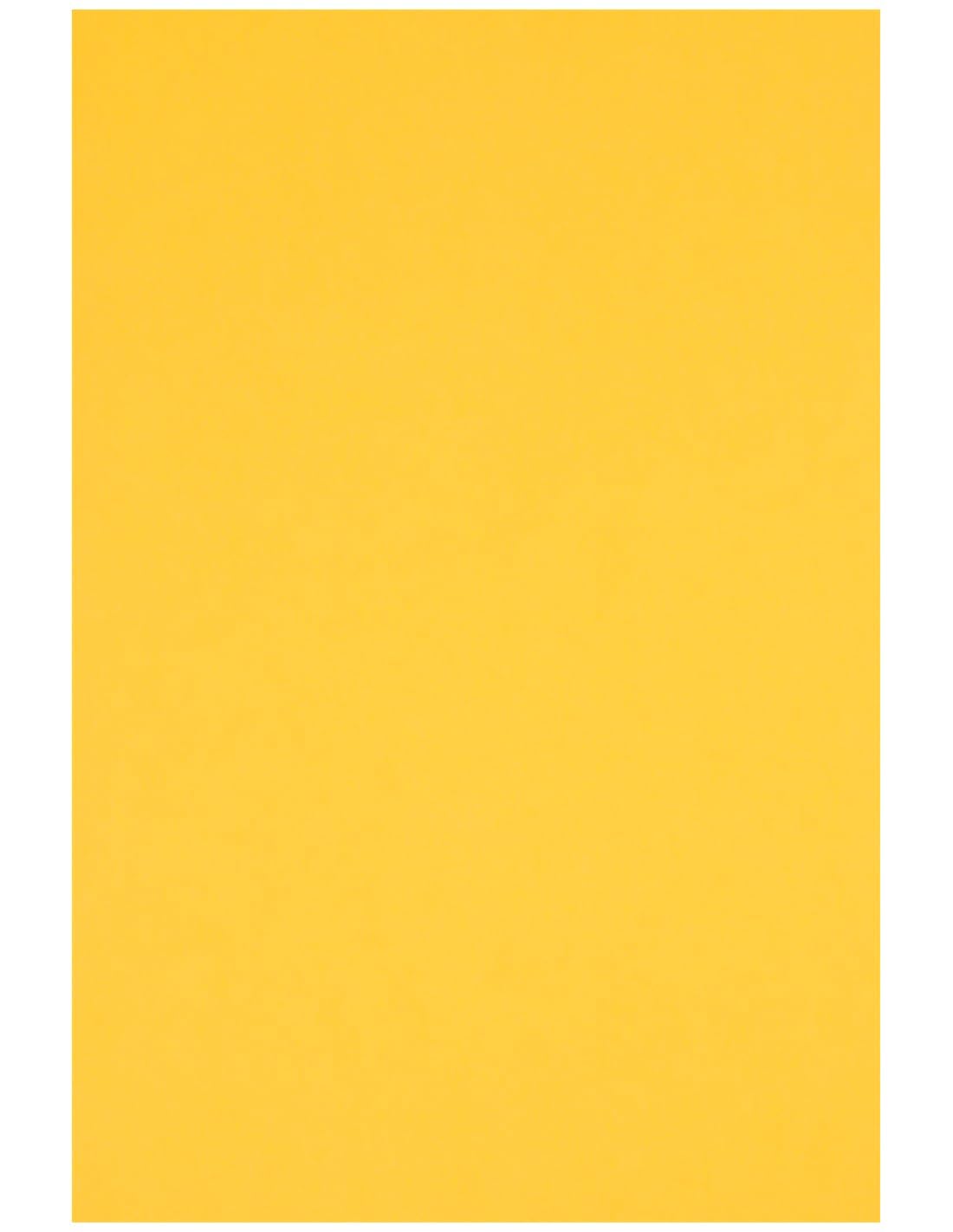 Netuno 40x Intense Yellow Cardboard A5 148 x 210mm 5.8 x 8.3in 230gsm Rainbow Printable Coloured Paper Colourful cardstock for Card Making Scrapbooking DIY Crafts School Office Card Stock Craft Paper