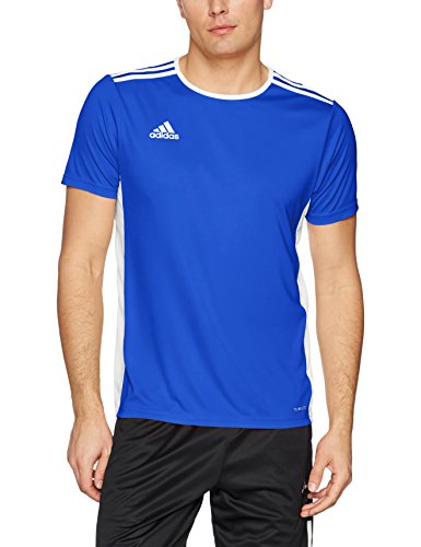 adidas Men's Entrada 18 AEROREADY Primegreen Regular Fit Soccer Short Sleeve Jersey, Bold Blue/White, Large
