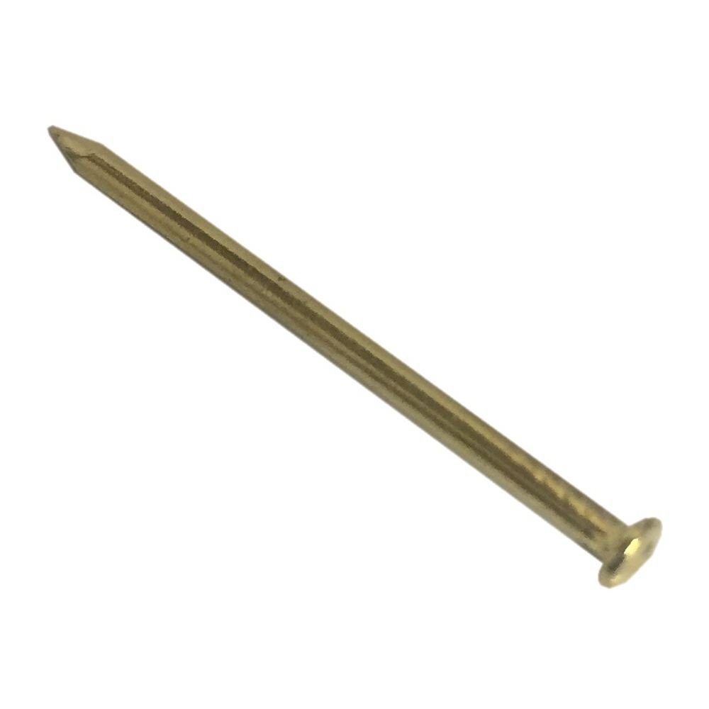 Onestopdiy.com Picture Photo Hanging Hook Pins Plain Head Eb Brass Plated ( Pack Of 100 )