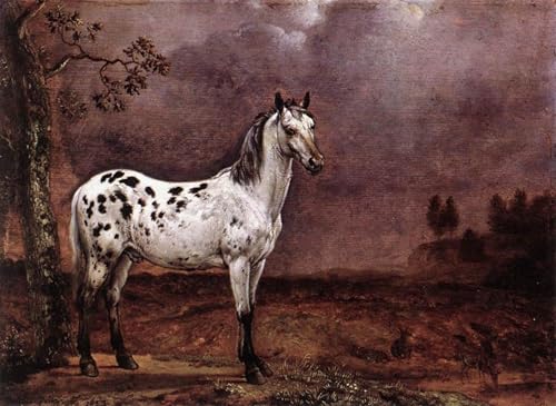 Le cheval tacheté de Paul Potter poster art pour décoration chambre chic