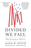 Divided We Fall: Why Consensus Matters (Geopolitics in the 21st Century)