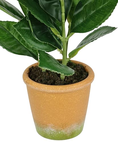 Citronnier artificiel réaliste de 30 cm idéal pour égayer une cuisine ou un salon - 5