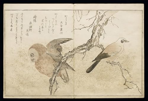 Affiches et gravures deux faisans cuivrés Utamaro déco salon 60x90